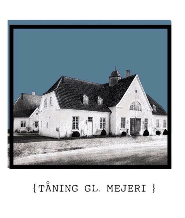 Appartement Taning Gl. Mejeri à Skanderborg Extérieur photo